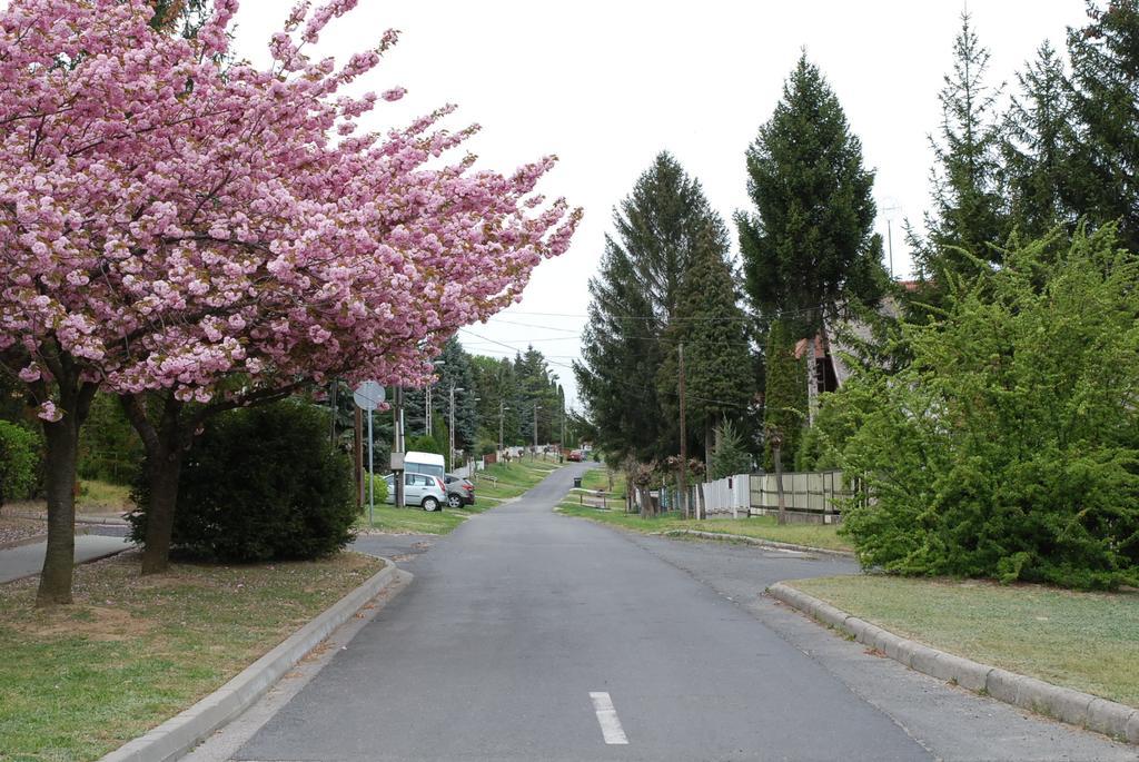 Antal Apartmanok 佐洛卡罗斯 外观 照片